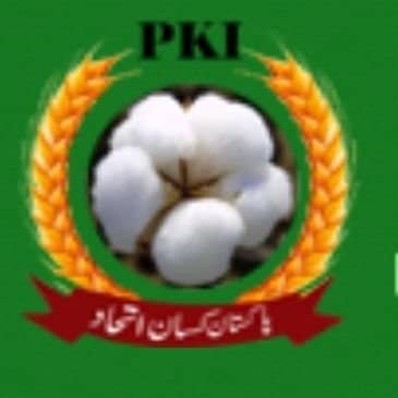 Nông dân Pakistan kêu gọi công bố chính sách lúa mì trước mùa vụ và giá hỗ trợ công bằng