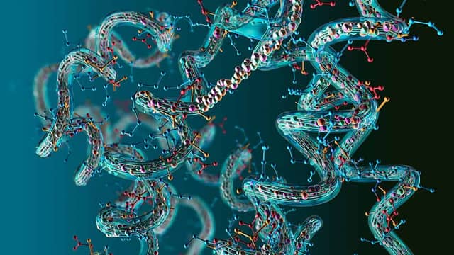 Nghiên cứu mô phỏng tiết lộ cơ chế tập hợp và ngưng tụ của protein không cấu trúc