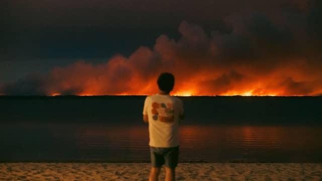 Mégafeu ở Gironde: Thực trạng, nguyên nhân và tác động của đám cháy khổng lồ